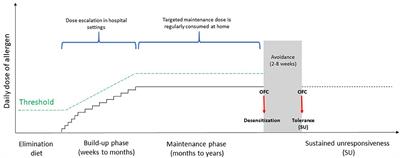 Oral Immunotherapy in Food Allergy: A Critical Pediatric Perspective